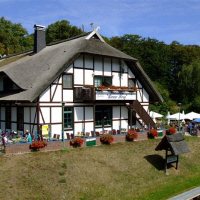 Terras onderweg